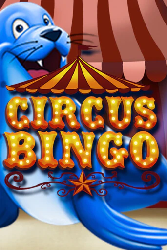 Circus Bingo играть демо онлайн | Вулкан Слотс без регистрации