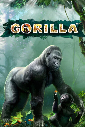 Gorilla играть демо онлайн | Вулкан Слотс без регистрации