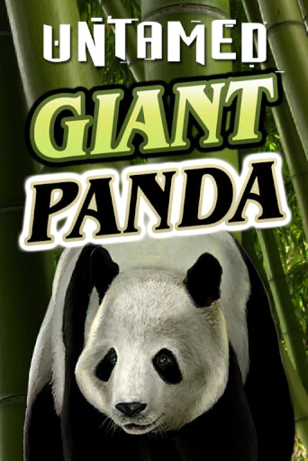Untamed - Giant Panda играть демо онлайн | Вулкан Слотс без регистрации