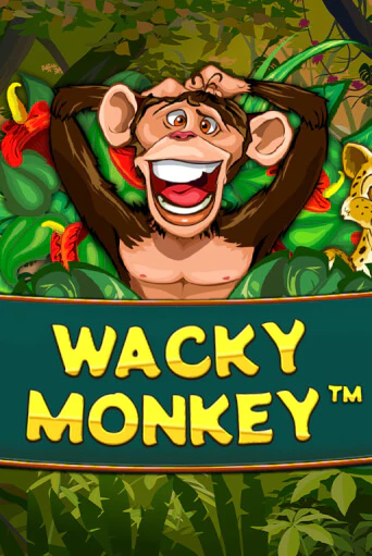 Wacky Monkey играть демо онлайн | Вулкан Слотс без регистрации
