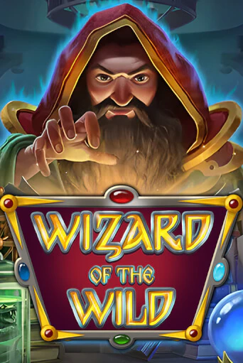 Wizard of the Wild играть демо онлайн | Вулкан Слотс без регистрации